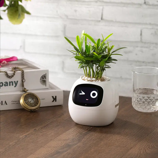 Smart Planter Stands