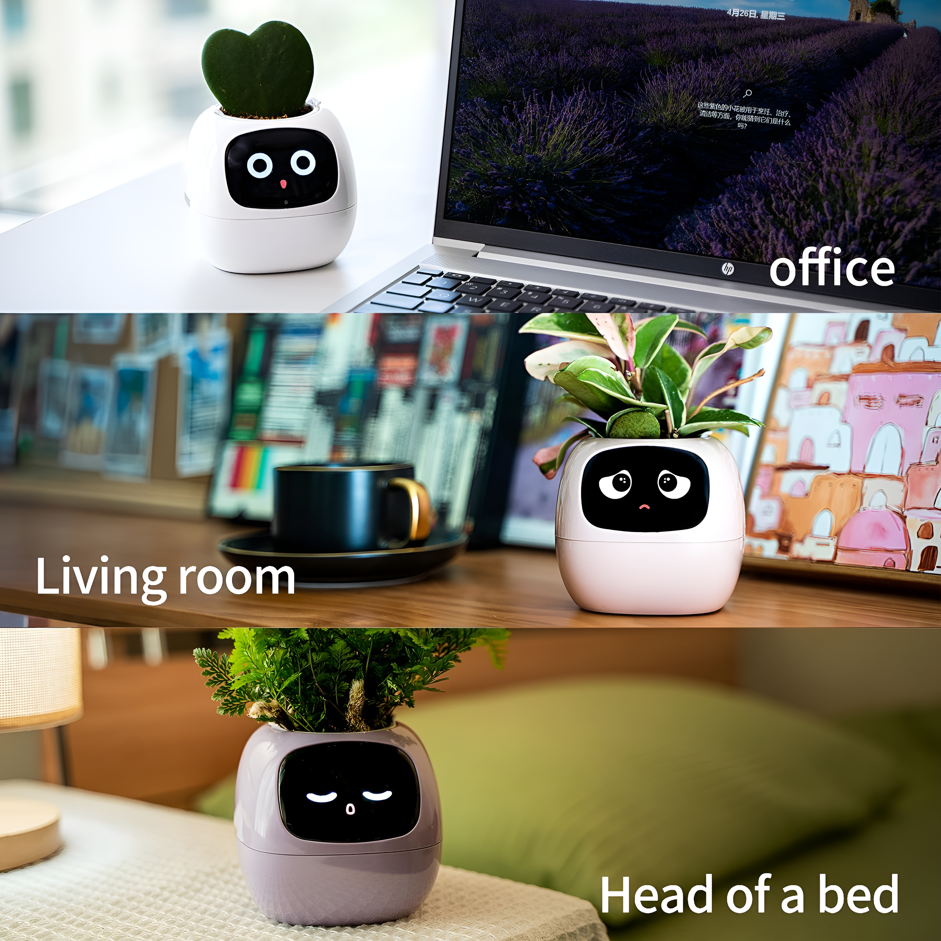 Smart Planter Stands